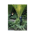 Garden Lights | FOCUS