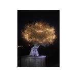 Garden Lights | GRONDSPIES | Accessoires