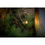 Lightpro | CASTOR SMART | Buitenspot