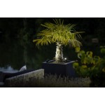Lightpro | CASTOR SMART | Buitenspot