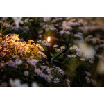 Lightpro | XIBLE | Staande Buitenlamp