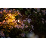 Lightpro | XIBLE | Staande Buitenlamp